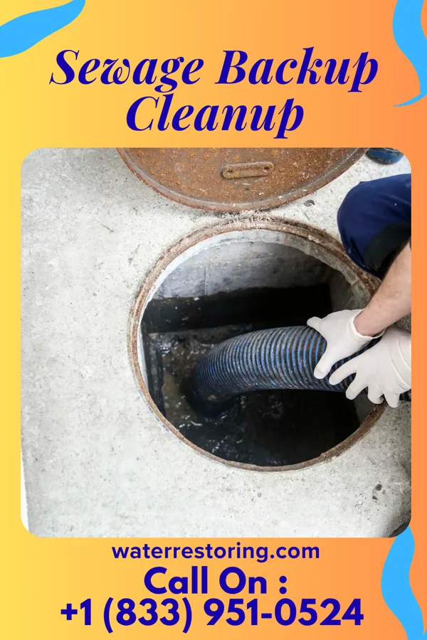 Sewage Backup Cleanup in Morning Glory, TX